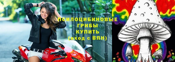 амф Алзамай