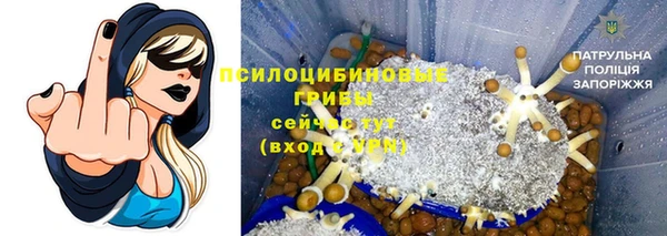 амф Абдулино