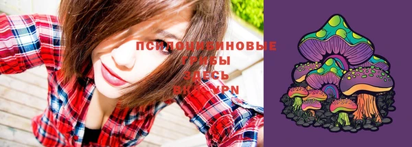 тгк Абинск