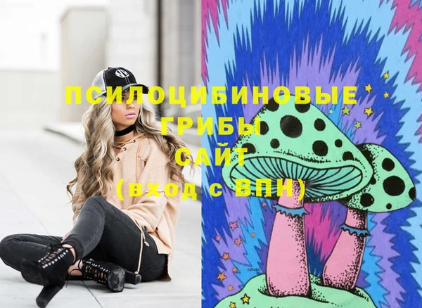 ешки Абаза